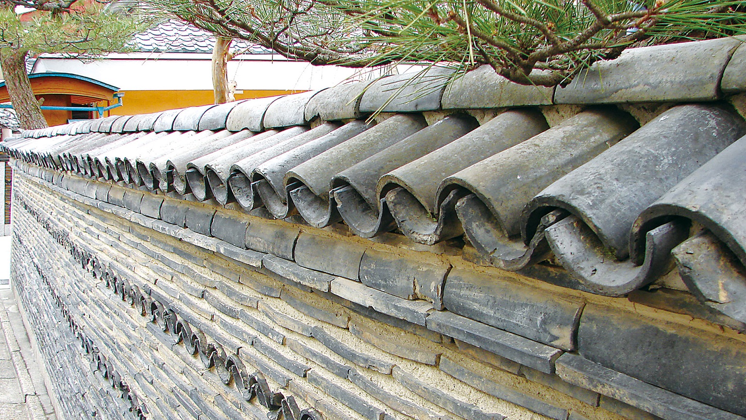 会社概要(画像)
